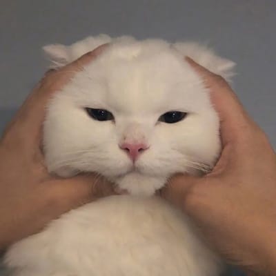 Junjun Gaming avatar